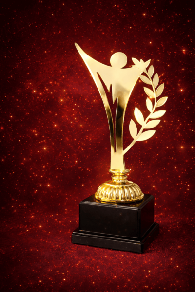 STAUETKA Prestiżowa Marka 2026